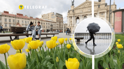 Заморозков во Львове не предполагается, только дожди