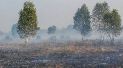 Вблизи Львова продолжают гореть торфяники 