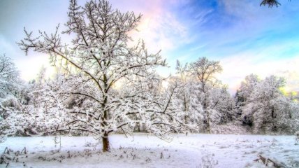 Прогноз погоды в Украине на 20 января: снежно и холодно