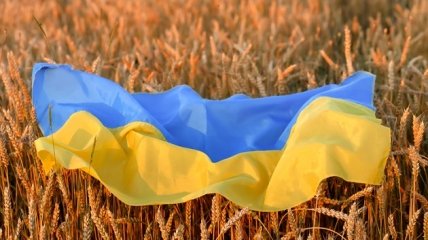 "День цветения вишни" и "День уважения к возрасту": в Украине могут появиться новые государственные праздники
