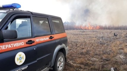 Пожарная ситуация: На Житомирщине вспыхнул новый пожар (Фото)