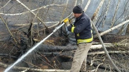 На Житомирщині рятувальники ліквідували пожежі у кількох районах