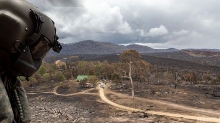 Лесные пожары в Австралии: Из воздуха сбросили тысячи килограммов овощей, чтобы накормить животных