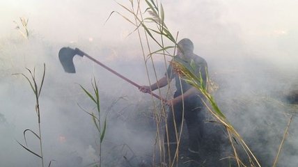 На Николаевщине локализовали масштабный пожар камыша и сухой травы