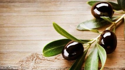 Неожиданная польза оливковых листьев