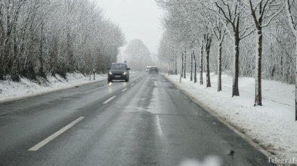 Погода на 26 ноября: синоптики обещают мокрый снег и дождь