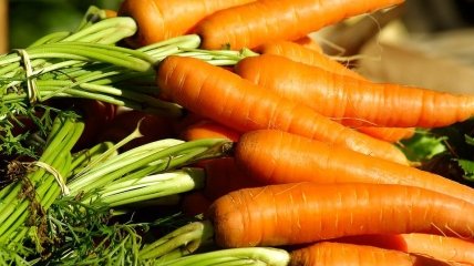 Следует поливать морковь водой с добавлением поваренной соли