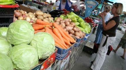 Азаров поставил задачу осваивать европейский рынок овощей 
