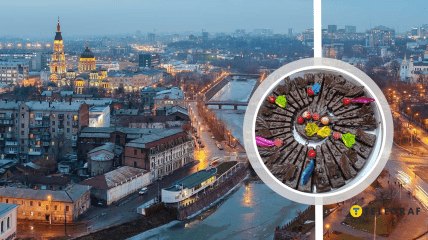 Харків та харківський торт