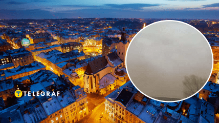 Львов и песчаная буря