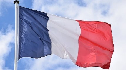 Языковеды призывают французов защитить свой язык от английского
