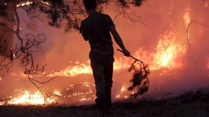 Почти 4 тыс. га леса горит в России