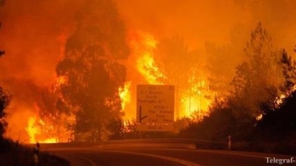 Лесные пожары в Португалии имеют криминальный след
