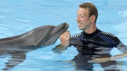 Дельфинотерапия – лечение дельфинами