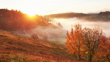 Какой сегодня праздник - День святых Ермея и Никандра