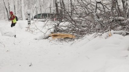 В Ривненской области 5 автомобилей "скорой" замело снегом