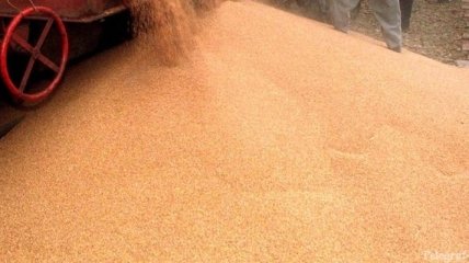 Из-за внешнего спроса в Украине дорожает зерно  