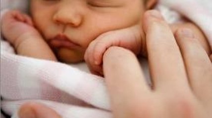 Пытавшиеся вывезти с Украины детей французы отделались штрафом