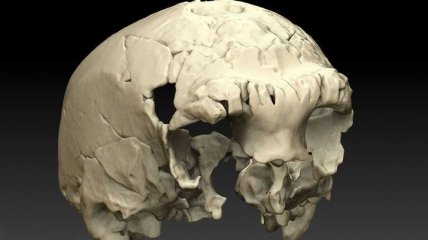 Археологи обнаружили череп древнейшего европейца