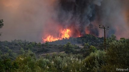 В Греции увеличилось число жертв лесных пожаров