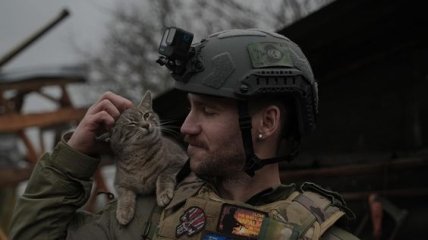 Украинский боец с котом