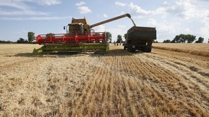 Рекордный экспорт зерновых из Украины помог укрепиться гривни