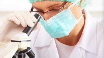 Найден новый способ размножения стволовых клеток пуповинной крови