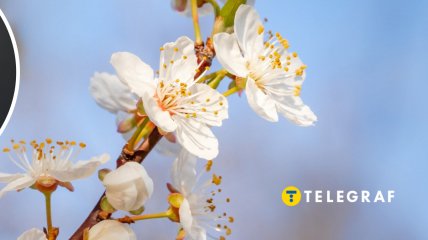 Что можно и нельзя делать 16 апреля