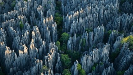 Это стоит увидеть своими глазами: каменный лес Цинги (Фото)