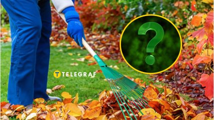 Осінній сад