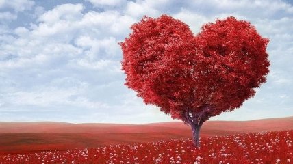 День святого Валентина 2020: какого числа отмечается праздник влюбленных