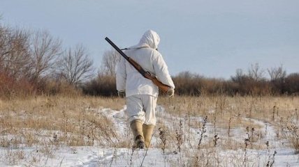 В Украине на 25 лет запретили охоту на лося