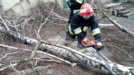 В Винницкой области из-за непогоды за сутки погибли женщина и 12-летний ребенок