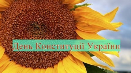 День Конституции 2019: поздравления на украинском языке