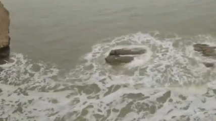 Туристы увидели русалку у берегов Израиля (Видео)