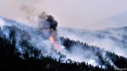 На 2-километровой горе в Болгарии горит лес