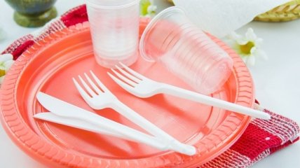 Использование пластиковой посуды влияет на гормональный фон