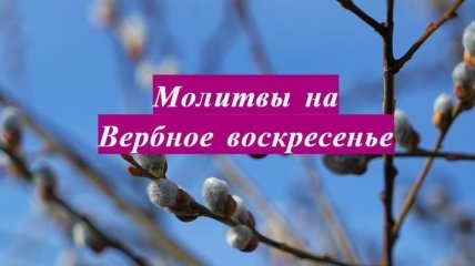 Сильные и чудодейственные молитвы на Вербное воскресенье: о чем просить