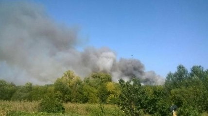 Пожар в Красноградском лесхозе на Харьковщине удалось ликвидировать 