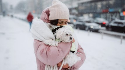 В этом году в Украине стоит классическая зимняя погода