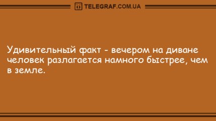 Доброго вечерочка! Самые лучшие анекдоты для настроения