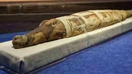 В Египте нашли важную историческую находку