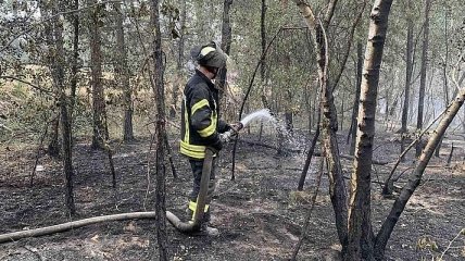 В Луганской области пожарные продолжают бороться с огнем