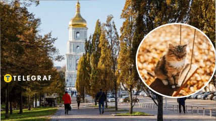 Яку погоду обіцяють на 1-2 вересня