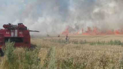 На Волыни сгорело более 40 гектаров пшеницы