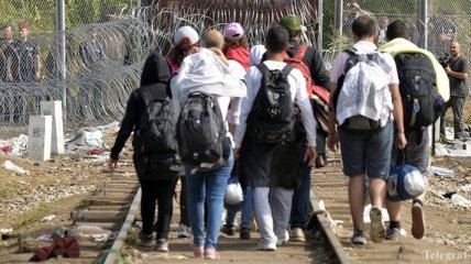 Хорватия позволила мигрантам продвигаться по своей территории