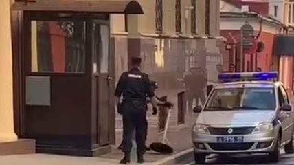 В Москве у посольства Туркмении застрелился полицейский (видео)