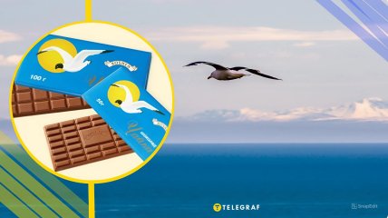 Иллюстративное фото