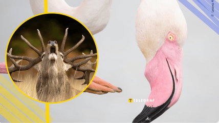 Иллюстративное фото