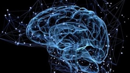 Ученые успешно протестировали протез памяти для мозга